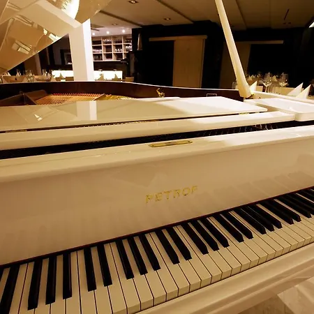 Hotel Master Horse Club - Svojetice