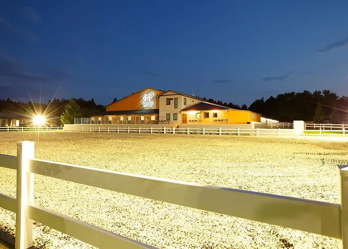 Отель Master Horse Club - 3*